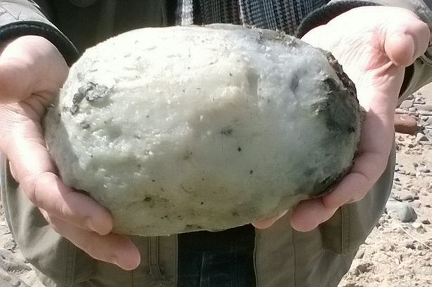 Au găsit un bolovan pe plajă și l-au luat acasă. Apoi, au descoperit ceva care i-ar scăpa de sărăcie
