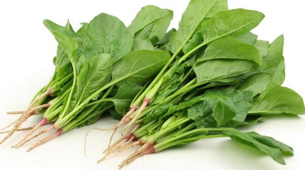 Cel mai sănătos aliment din lume: dacă îl consumi zilnic nu o să ai nevoie de dietă sau de medic