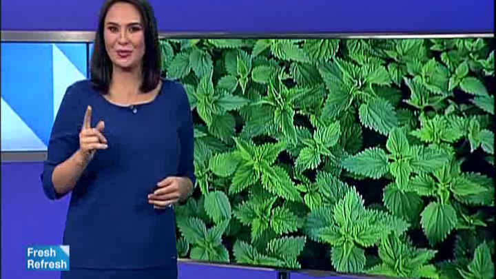 Cele două plante care te scapă de colesterol și detoxifică sângele