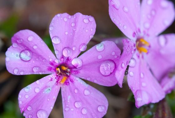 Vremea schimbă foaia: ploi şi vânt intens. Prognoza meteo pe trei zile 