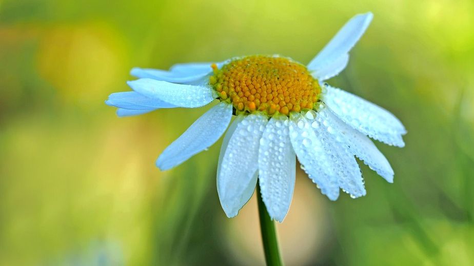 PROGNOZA METEO. Cum va fi vremea în următoarele zile. Când se opresc ploile