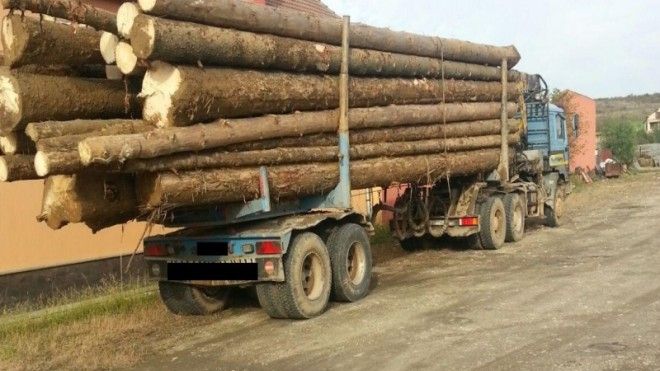 A sunat la 112 pentru a reclama un transport ilegal de lemne. Ce s-a întâmplat apoi e revoltător!