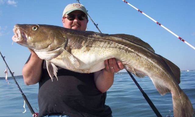 A prins un cod uriaș, l-a tras în barcă și..a înghețat de spaimă. Ce se afla în gura peștelui