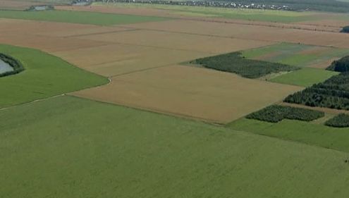 Comisie parlamentară de anchetă cu privire la vânzarea terenurilor către străini -iniţiativă