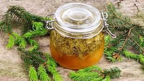Efectele miraculoase ale siropului de muguri de brad. Iată cum se prepară