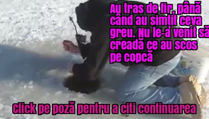 A prins un crap uriaș și l-a adus acasă. A avut un șoc când a despicat peștele