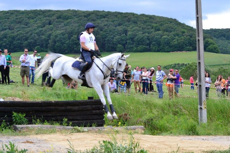 Weekend plin pentru iubitorii de cai și călărie, la Transylvania Horse Show