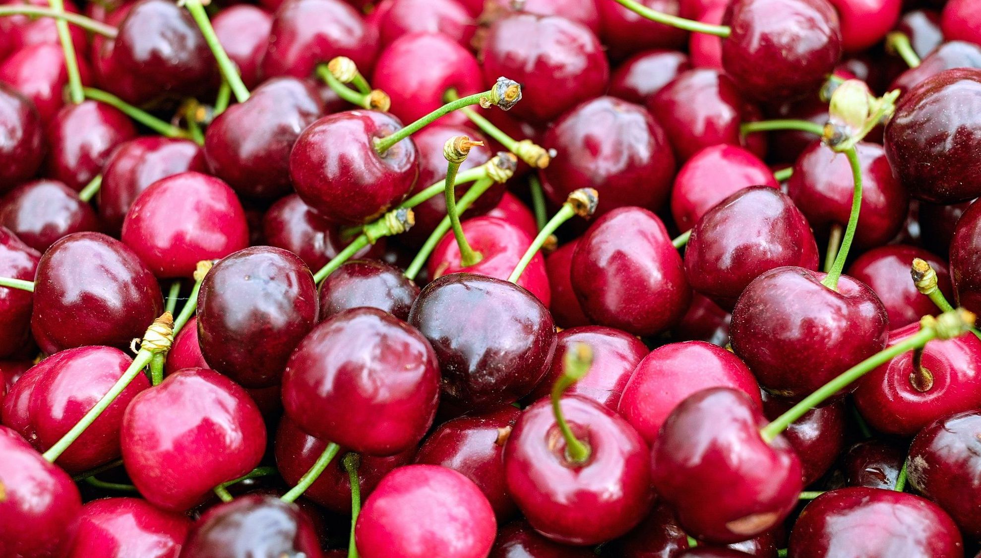 Îngraşă sau nu cireşele? Recomandările nutriţioniştilor