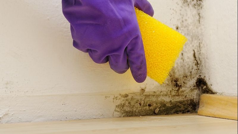 Cum să cureți igrasia fără efort, cu un singur produs natural