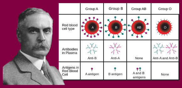 Google îl omagiază pe medicul Karl Landsteiner, medicul care a descoperit grupele de sânge