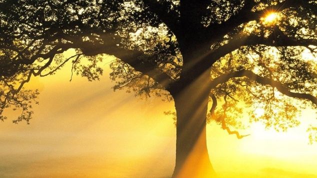 Meteorologii au anunţat astăzi un fenomen meteo unic în Miercurea Ciuc 