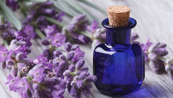 Cum poți să prepari acasă ulei de levănțică. Ai nevoie de doar două ingrediente!