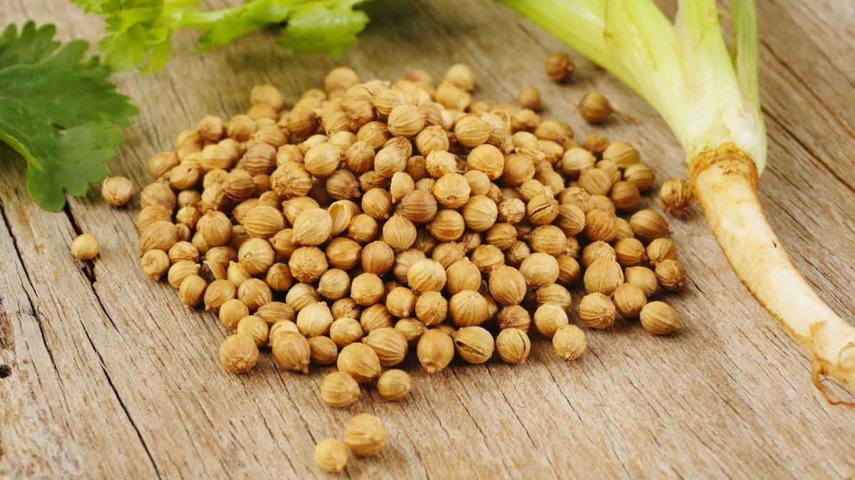 Această plantă vindecă toate bolile digestive. Trebuie să bei doar 2-3 căni de ceai zilnic