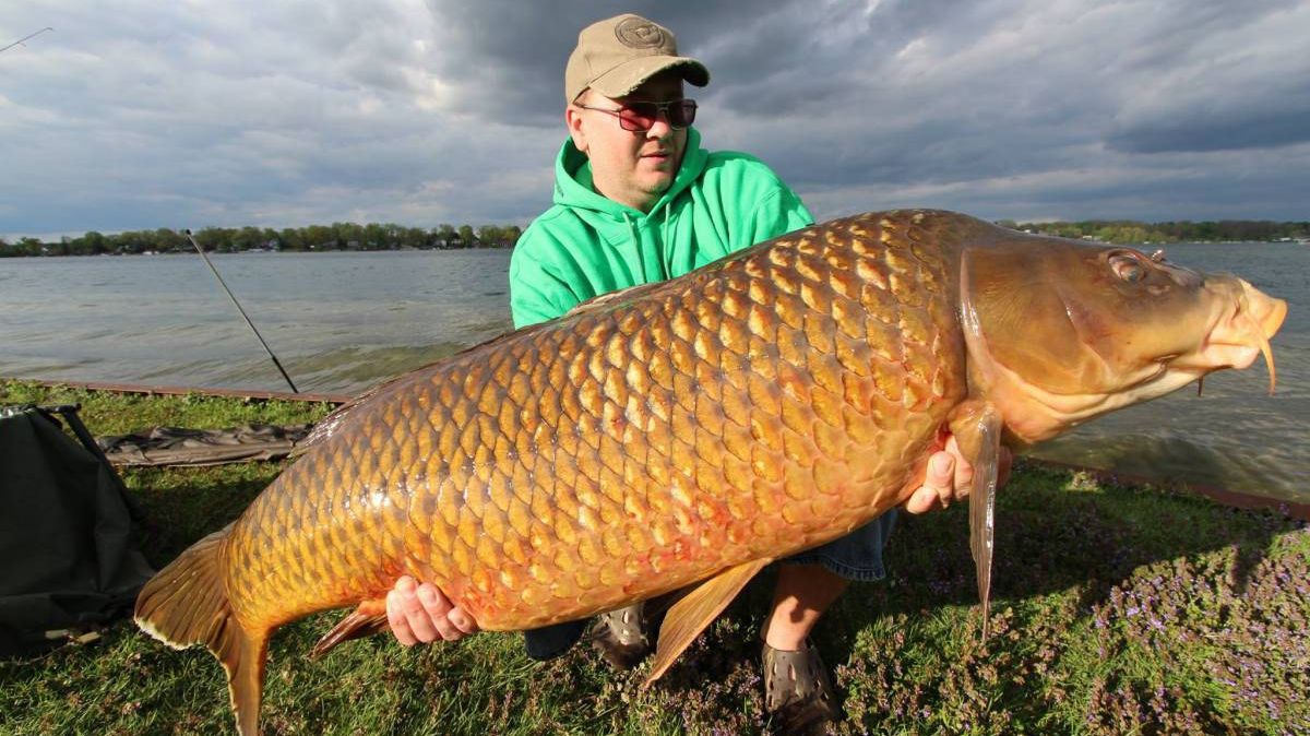 A prins un crap uriaș și l-a adus acasă. A avut un șoc când a despicat peștele