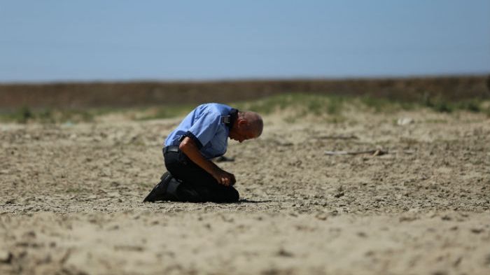 Doi cineaști români în competiția oficială de lungmetraje a Festivalului de Film de la Sarajevo