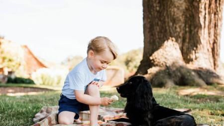 Şoc în Marea Britanie! Prinţul George, acuzat cruzime împotriva animalelor. Motivul este incredibil