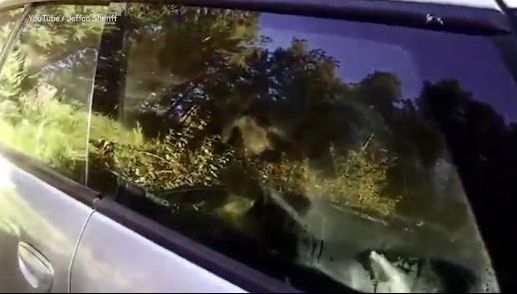 A lăsat mașina în parcare peste noapte. Dimineața, șoc. Ce a găsit în ea a îngrozit-o