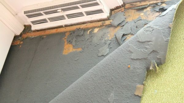 A dat mocheta la o parte şi a avut un şoc. Toata casa a fost invadată, ca într-un film de groază!