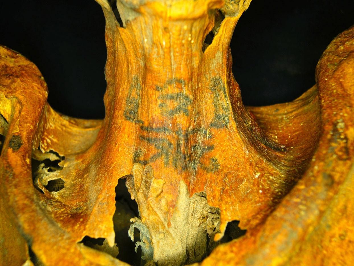 Top 10 cele mai șocante mumii descoperite de arheologi. Rămâi fără cuvinte când le vezi