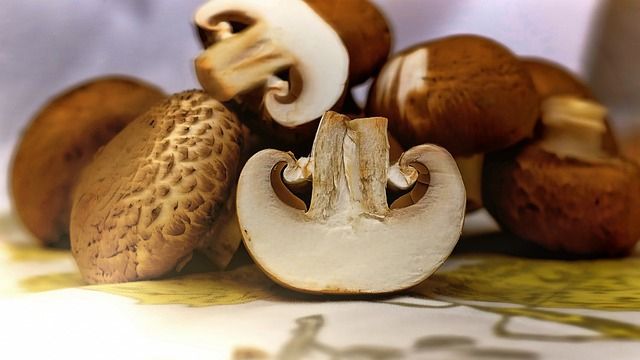 Cum se gătesc corect ciupercile. Greșeala pe care ai făcut-o până acum