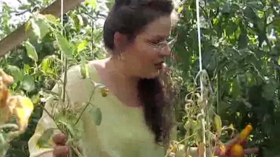 "Tomatele banană" şi "castravetele exploziv", inventate la Buzău. De ce se numesc aşa