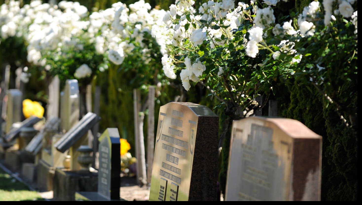 Piatră funerară în formă de iPhone, comercializată de o companie de servicii funerare din Rusia