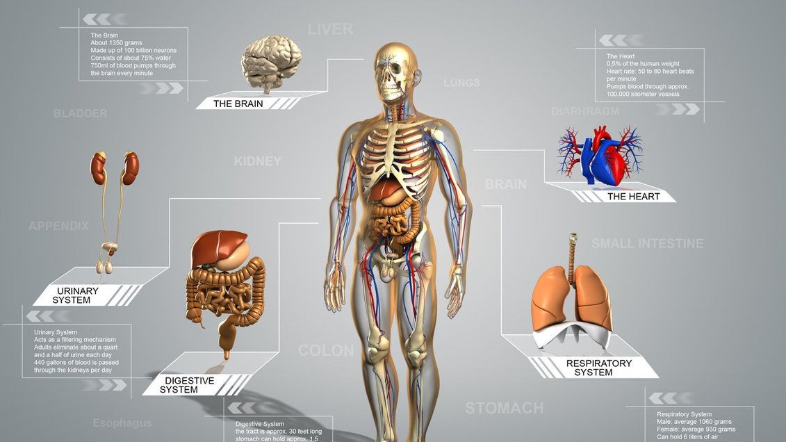 Subiecte ANATOMIE BAC 2016. Sistemul respirator şi boli de nutriţie ale organismului
