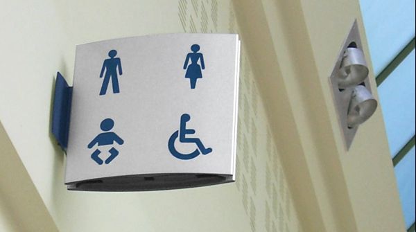 A găsit o focă în toaletă. Ce s-a întâmplat apoi e incredibil