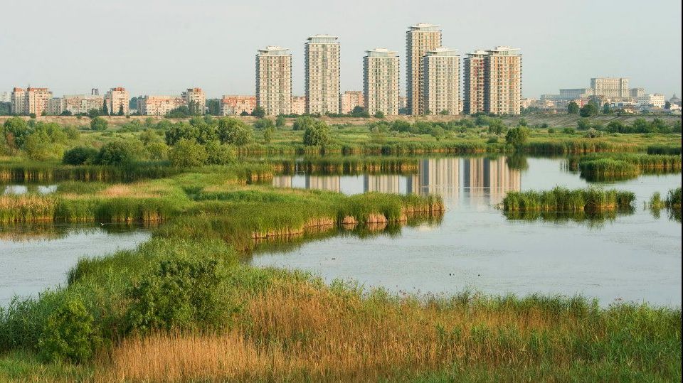 Incendiu în Parcul Văcărești. Pompierii intervin cu cinci autospeciale