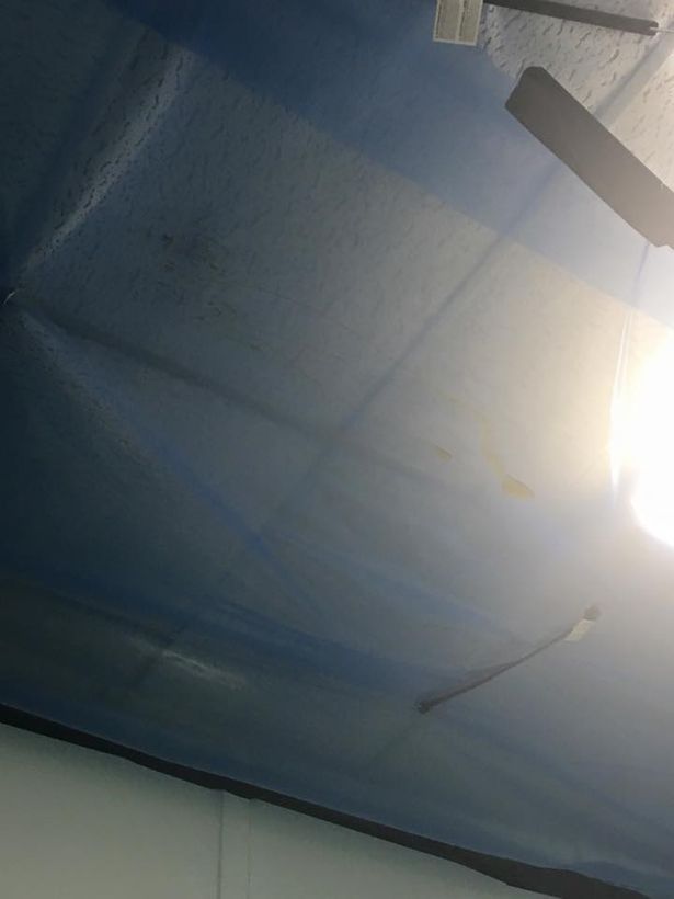 Pacienţii unui spital, înfricoşaţi:pe pereţi a început să curgă miere.Explicaţia simplă, dar şocantă