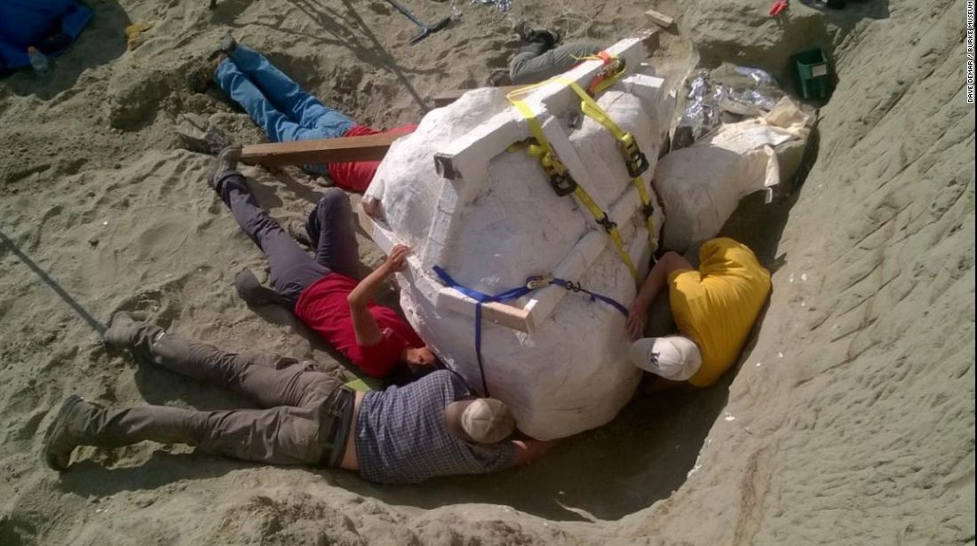 Descoperire incredibilă în refugiul dinozaurilor din Montana: are 12 metri lungime și 6 înălțime
