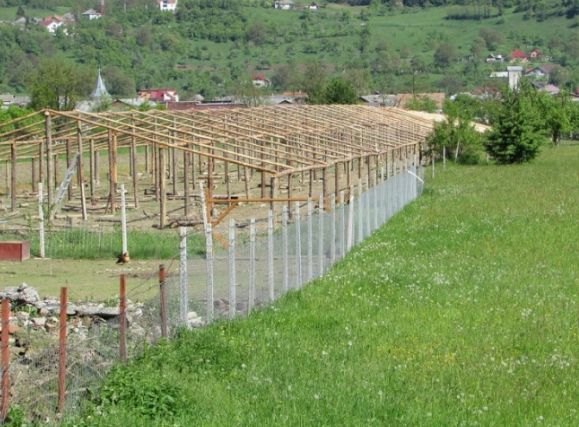 muncitori agricoli sezonieri
