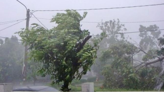 ALERTĂ METEO. Cod GALBEN de vijelii periculoase şi ninsoare. Ce zone sunt afectate UPDATE