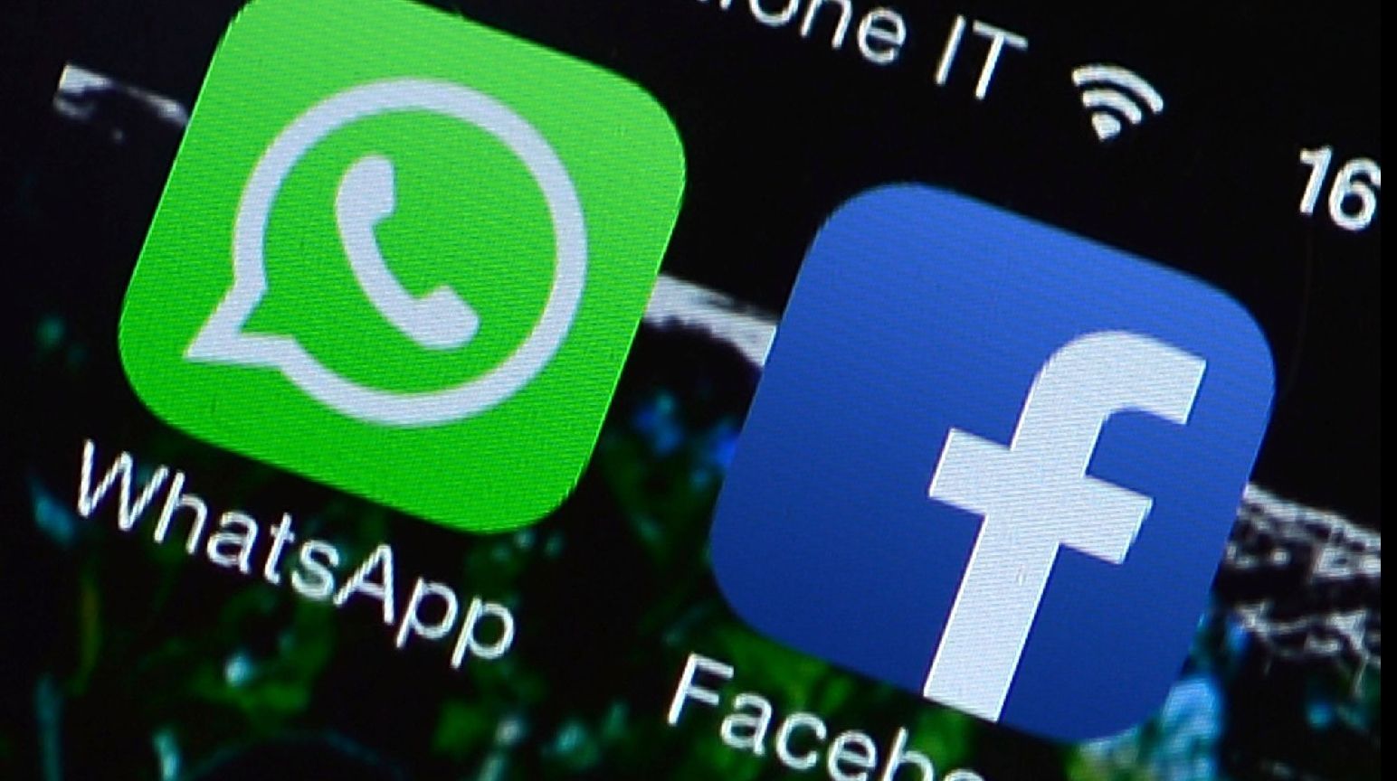 Decizie controversată luată de WhatsApp. Numărul tău de telefon va fi dat mai departe...
