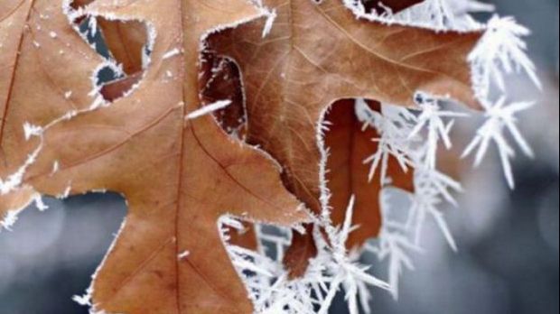 Locul din România unde temperatura a ajuns la limita îngheţului în această dimineaţă