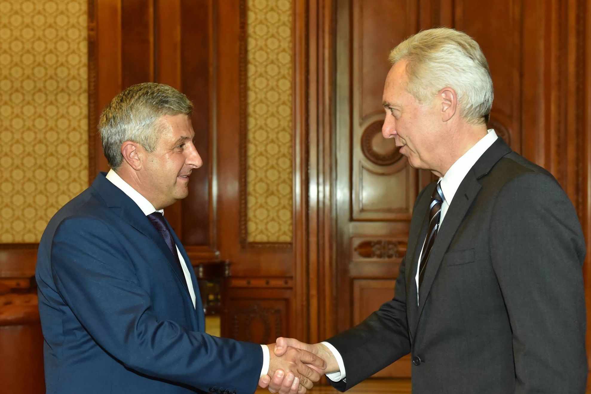 Ambasadorul SUA în România, întâlnire cu preşedintele Camerei Deputaţilor. Ce au discutat