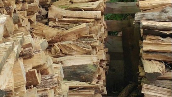 Testul care a înnebunit Internetul. Unde se află pisica în această imagine? Nimeni n-a văzut-o