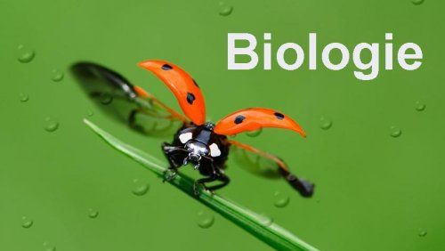 Subiecte BIOLOGIE BAC 2016 sesiunea august. Consultă AICI subiectele şi baremul la Biologie