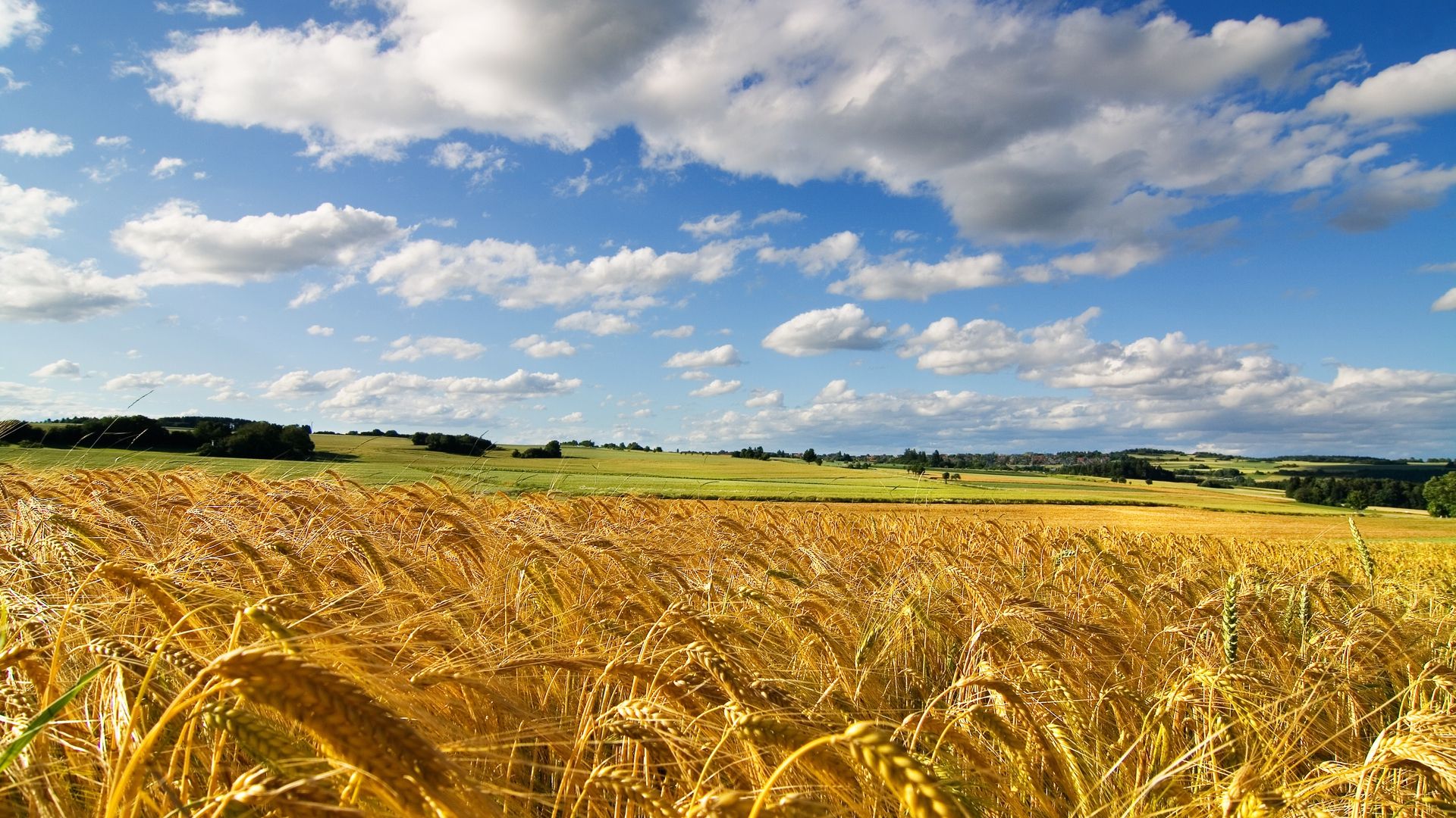 Schimbarea la Faţă a Domnului. Ce să NU faci niciodată, pe 6 august 