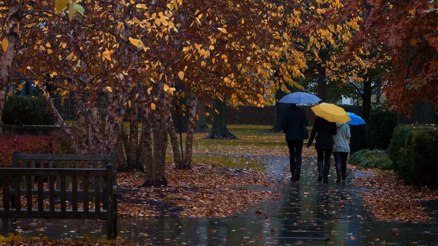 Se schimbă vremea! Informare METEO de ploi şi temperaturi scăzute, valabilă până marţi