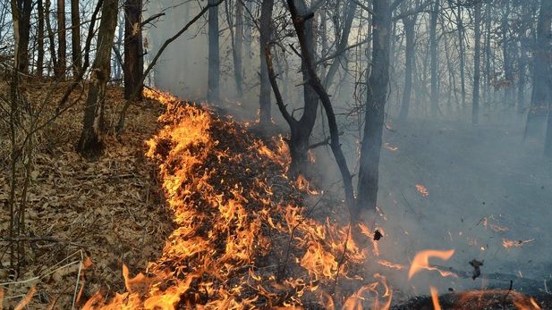 Incendiu devastator într-o staţiune din Spania: peste 1000 de oameni, evacuaţi