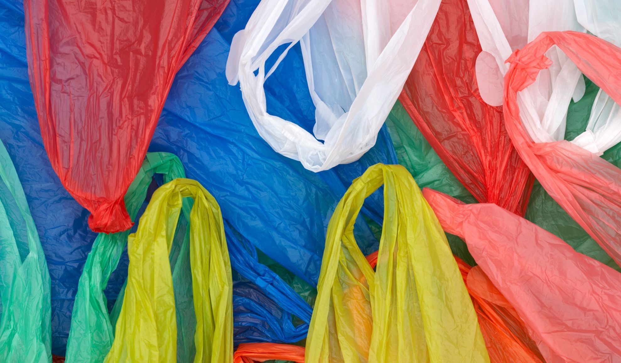 Motivul șocant pentru care un bărbat nu are voie să țină în casă pungi de plastic