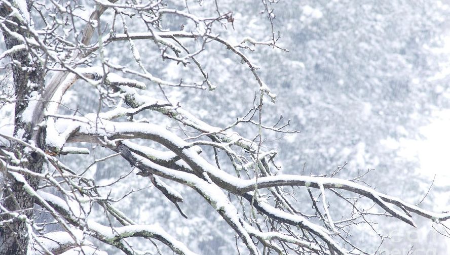 Sunt anunţate ploi şi ninsori! Prognoza meteo pe două săptămâni