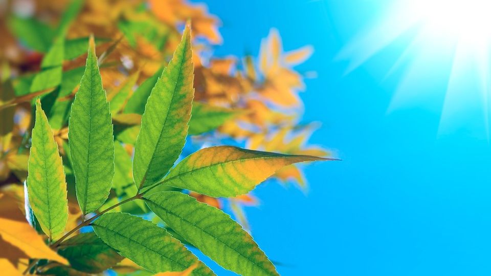 METEO 15 septembrie. Vreme deosebit de caldă pentru această lună: maxime peste 30 de grade Celsius