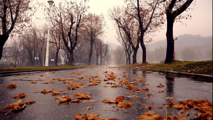 Vreme rece și ploi, la început de weekend. Prognoza meteo pentru sâmbătă și duminică