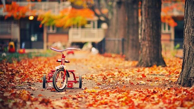 Temperaturi de 23 de grade în weekend. UNDE va fi vreme de primăvară