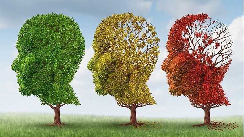 5 trucuri prin care să-ți îmbunătățești memoria la orice vârstă