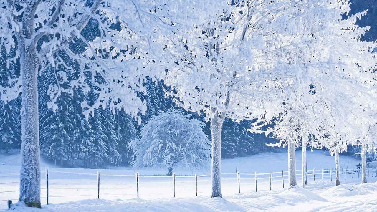 Vin ninsorile şi gerul. Prognoza meteo pentru acest weekend