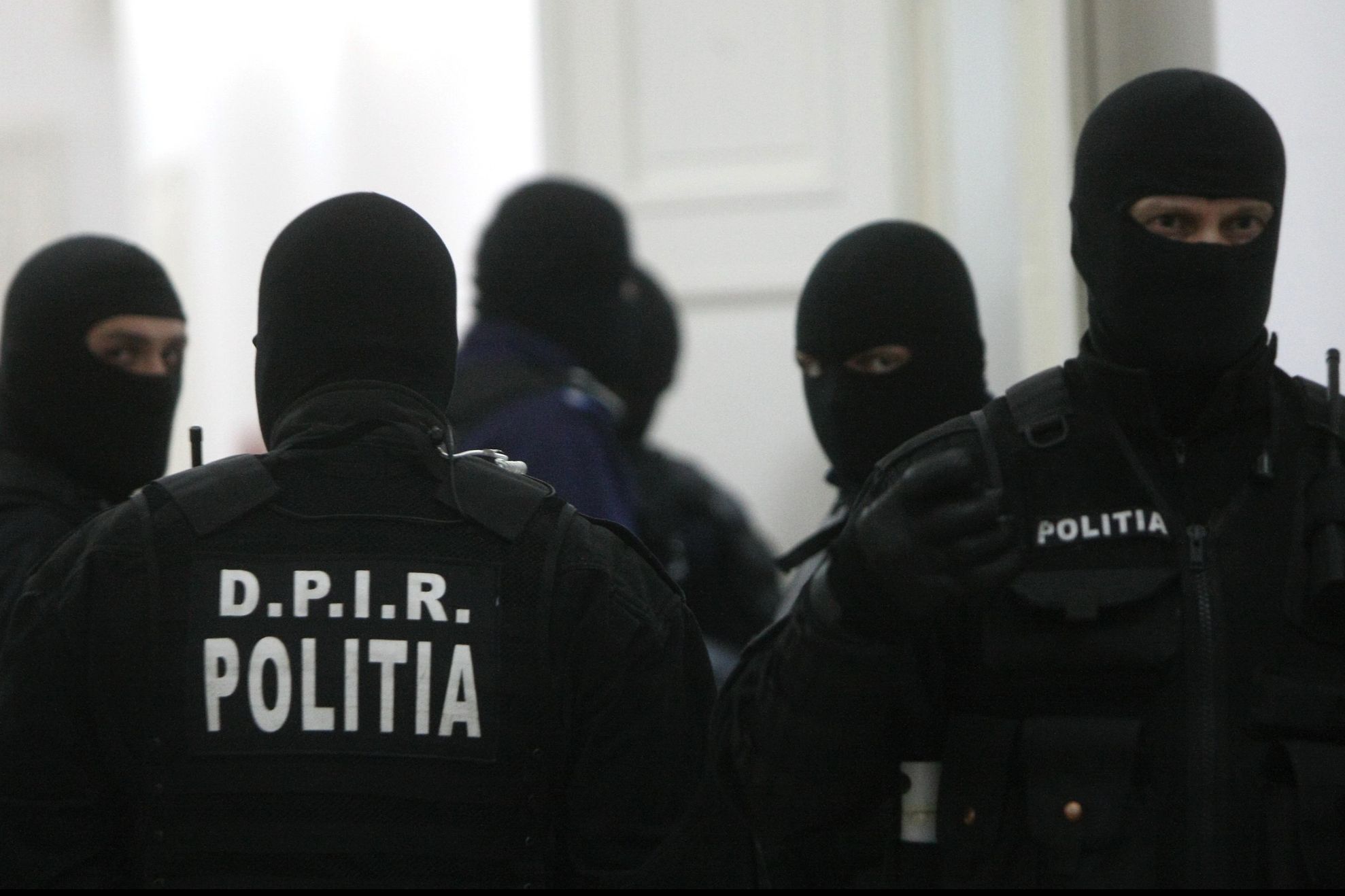 Percheziții de amploare în București și Călărași! Acuzațiile: braconaj și proxenetism