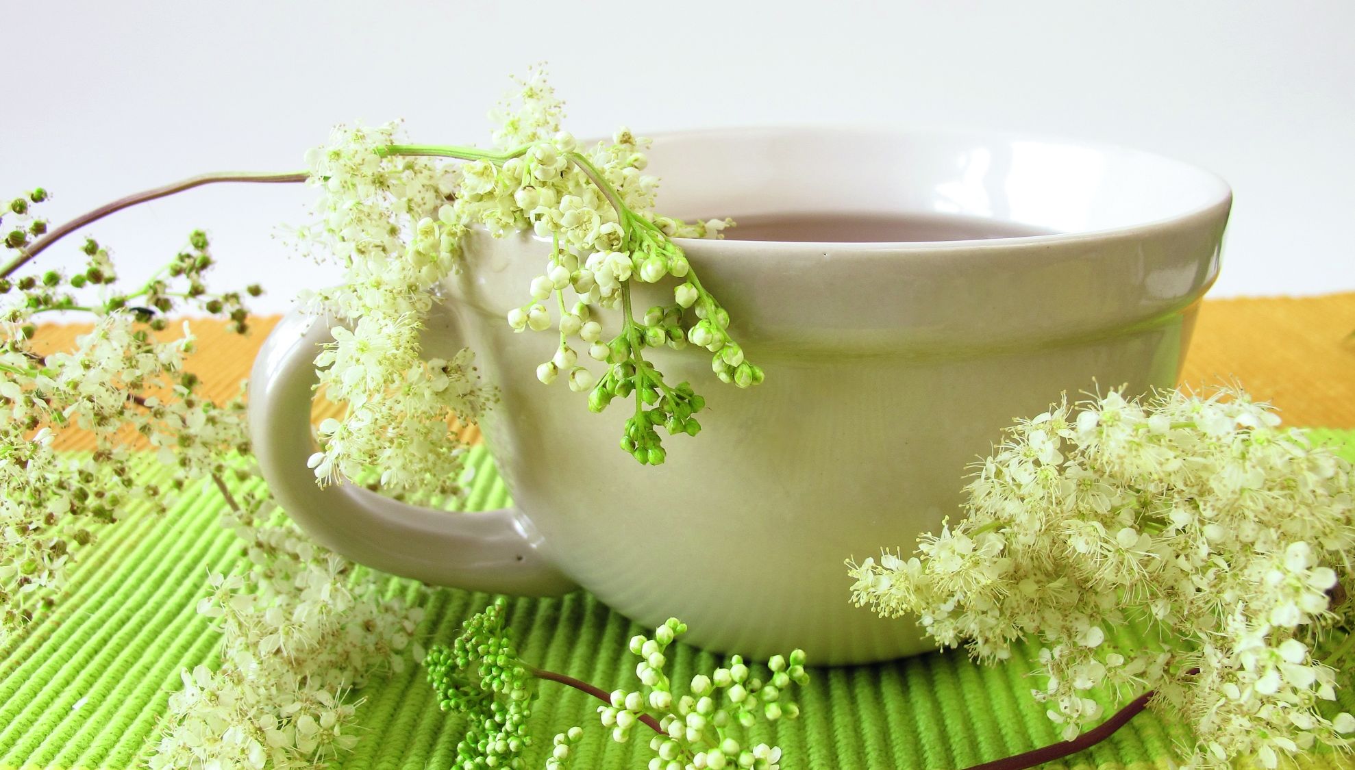 Plante care te lecuiesc de durerile articulare